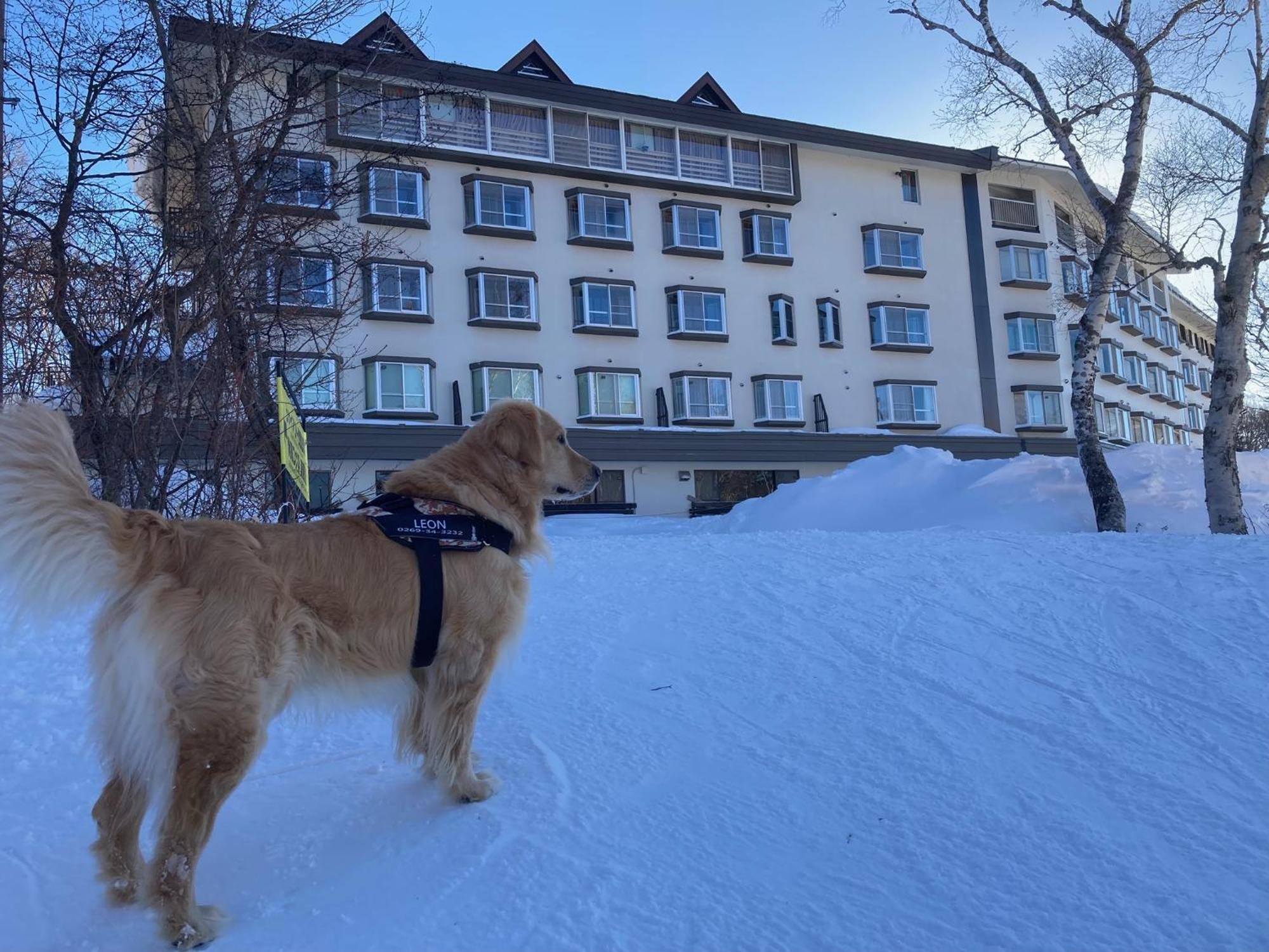 Shiga Lake Hotel Яманучи Екстериор снимка